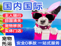 海拉尔机场快递国际宠物托运 【国